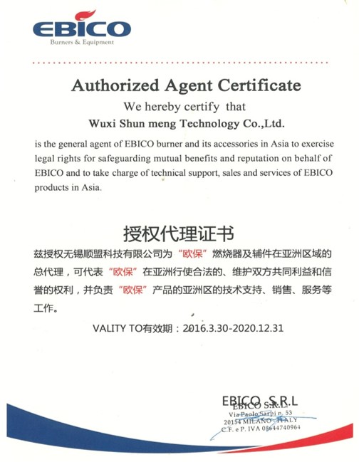 EBICO Agent for the book